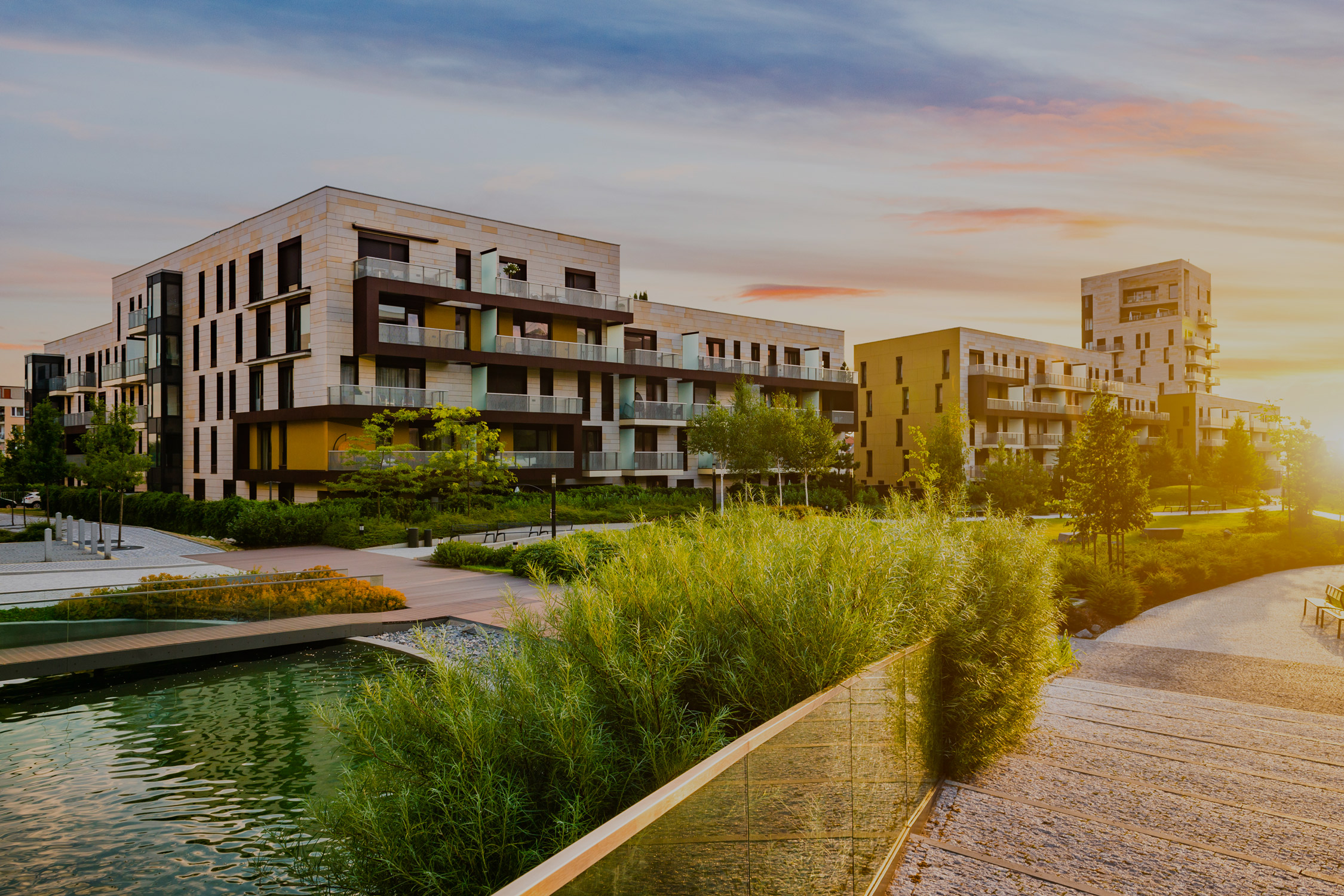 bg-header-home
